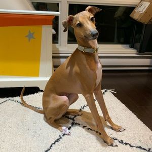 Meet your Posher, Hero